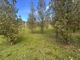 Foto 8 de Terreno en  Alamos Del timbó
