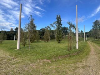 Foto 10 de Terreno en  Alamos Del timbó