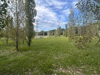 Foto 6 de Terreno en  Alamos Del timbó