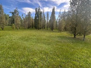 Foto 11 de Terreno en  Alamos Del timbó