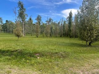 Foto 3 de Terreno en  Alamos Del timbó