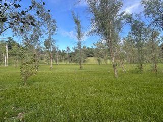 Foto 7 de Terreno en  Alamos Del timbó