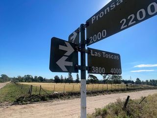 Foto 6 de Macizo en VENTA Villa Belgrano