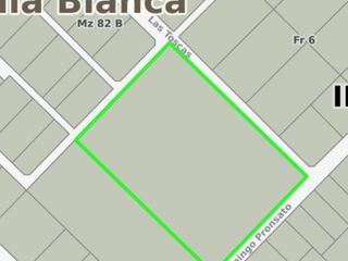 Foto 11 de Macizo en VENTA Villa Belgrano