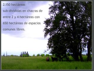 Foto 7 de Terreno en venta en Estancia Benquerencia