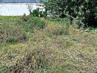 Foto 23 de Terreno en Venta Colectora Oeste, Acceso Norte, Panamericana ramal Pilar km42.5, Del Viso