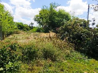 Foto 32 de Terreno en Venta Colectora Oeste, Acceso Norte, Panamericana ramal Pilar km42.5, Del Viso