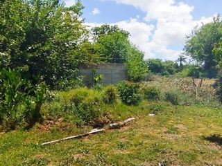 Foto 7 de Terreno en Venta Colectora Oeste, Acceso Norte, Panamericana ramal Pilar km42.5, Del Viso