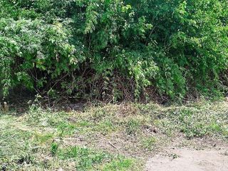 Foto 5 de Terreno en Venta Colectora Oeste, Acceso Norte, Panamericana ramal Pilar km42.5, Del Viso