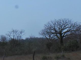 Foto 6 de Venta de Terreno Rural en Montecristi