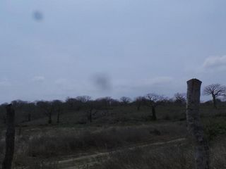 Foto 8 de Venta de Terreno Rural en Montecristi