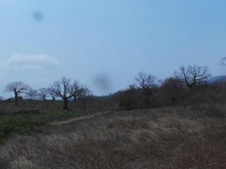 Foto 7 de Venta de Terreno Rural en Montecristi