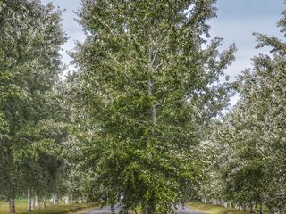 Foto 12 de Terreno en venta - 1.088mts2 - La Plata