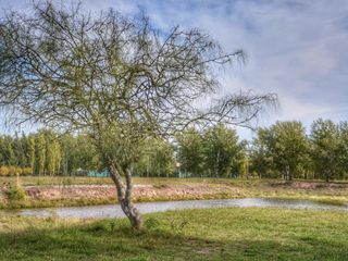 Foto 16 de Terreno en venta - 1.088mts2 - La Plata