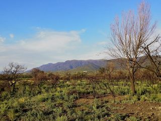 Foto 6 de ¡VENDEMOS fracciones sobre Ruta 38 - La Cumbre! Acceso Directo y Vistas 360° a las Sierras
