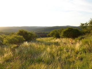 Foto 4 de ¡VENDEMOS fracciones sobre Ruta 38 - La Cumbre! Acceso Directo y Vistas 360° a las Sierras