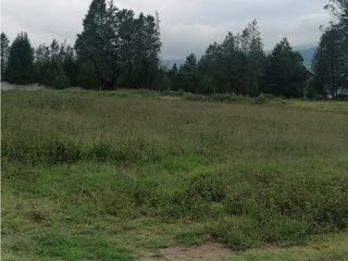Foto 10 de Tababela, Terreno en Renta, 6809m2, Cos140%