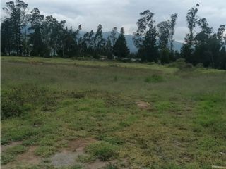 Foto 12 de Tababela, Terreno en Renta, 6809m2, Cos140%