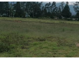 Foto 2 de Tababela, Terreno en Renta, 6809m2, Cos140%
