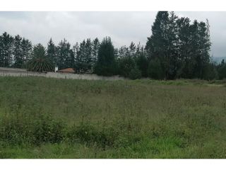 Foto 4 de Tababela, Terreno en Renta, 6809m2, Cos140%