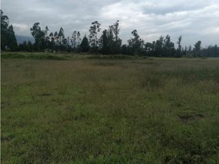 Foto 3 de Tababela, Terreno en Renta, 6809m2, Cos140%