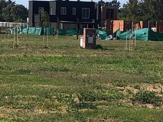 Foto 25 de VENTA lote terreno  EL OLIVAR  Pilar
