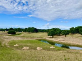 Foto 3 de Terreno en venta - 1000mts2 - Villa Robles, Pinamar