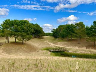 Foto 18 de Terreno en venta - 1000mts2 - Villa Robles, Pinamar