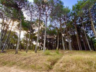 Foto 16 de Terreno en venta - 1000mts2 - Villa Robles, Pinamar
