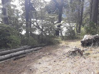 Foto 25 de Importante Fracción costa de lago en Villa La Angostura zona Brazo Huemul
