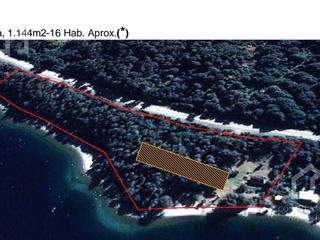 Foto 5 de Importante Fracción costa de lago en Villa La Angostura zona Brazo Huemul