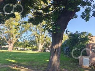 Foto 4 de Terreno en Santa Guadalupe en venta