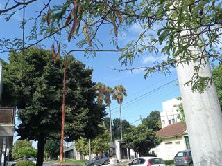 Foto 9 de Terreno en Alquiler en La Plata  San Carlos