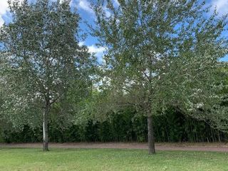Foto 1 de Venta - Lote en Altos de Manzanares / Pilar Apto Credito