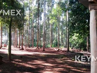 Foto 1 de Campo 95.88h en Campo Grande, Misiones