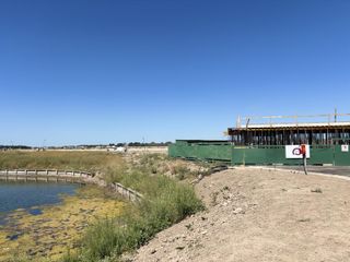 Foto 16 de Terreno en  Venta en Barrio Cerrado Silvestre, Nordelta