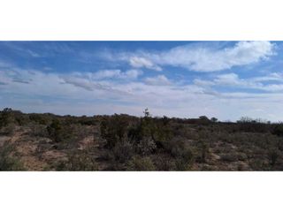 Foto 4 de VENTA O PERMUTA DE CAMPO 50 HAS EN LAS CATITAS- SANTA ROSA