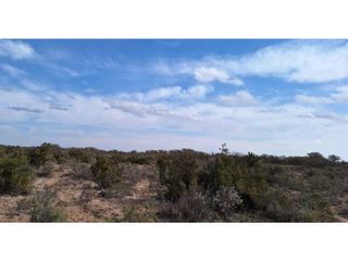 Foto 2 de VENTA O PERMUTA DE CAMPO 50 HAS EN LAS CATITAS- SANTA ROSA