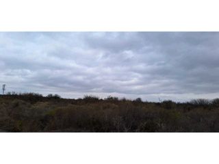 Foto 7 de VENTA O PERMUTA DE CAMPO 50 HAS EN LAS CATITAS- SANTA ROSA