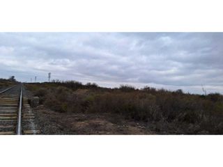Foto 5 de VENTA O PERMUTA DE CAMPO 50 HAS EN LAS CATITAS- SANTA ROSA