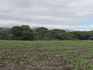 Foto 9 de Oportunidad - Campo en Venta en Rosario de La Frontera