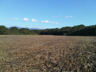 Foto 8 de Oportunidad - Campo en Venta en Rosario de La Frontera