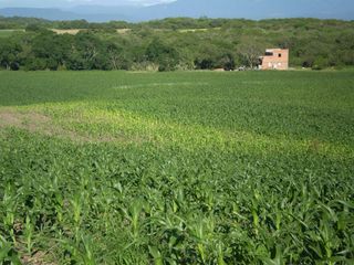 Foto 4 de Oportunidad - Campo en Venta en Rosario de La Frontera