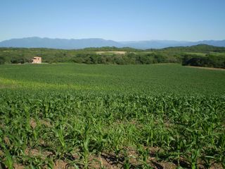 Foto 3 de Oportunidad - Campo en Venta en Rosario de La Frontera