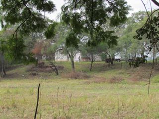 Foto 19 de Oportunidad - Campo en Venta en Rosario de La Frontera
