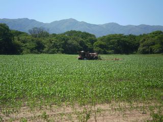Foto 1 de Oportunidad - Campo en Venta en Rosario de La Frontera