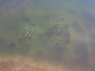 Foto 27 de POSIBLE PERMUTA-Villa Huapi - Dina Huapi - Río Negro - APTO CREDITO