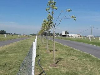 Foto 6 de Terrenos contiguos en venta - 1200mts2 - Tiempos de Canning - Veris