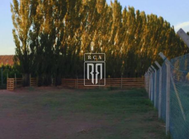 place photo 47