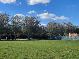 Foto 12 de Terreno en venta - 2.244mts2 - Haras Del Sur I